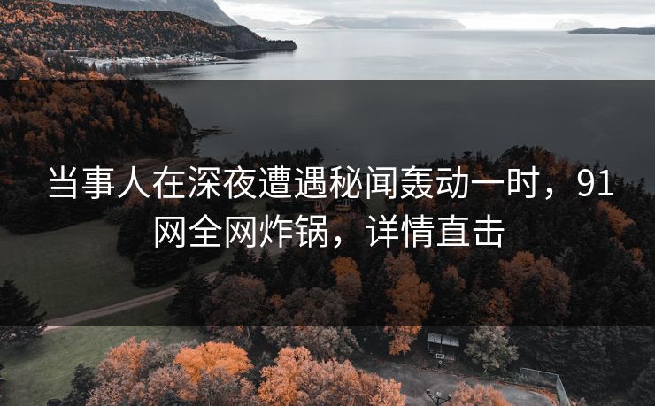 当事人在深夜遭遇秘闻轰动一时，91网全网炸锅，详情直击