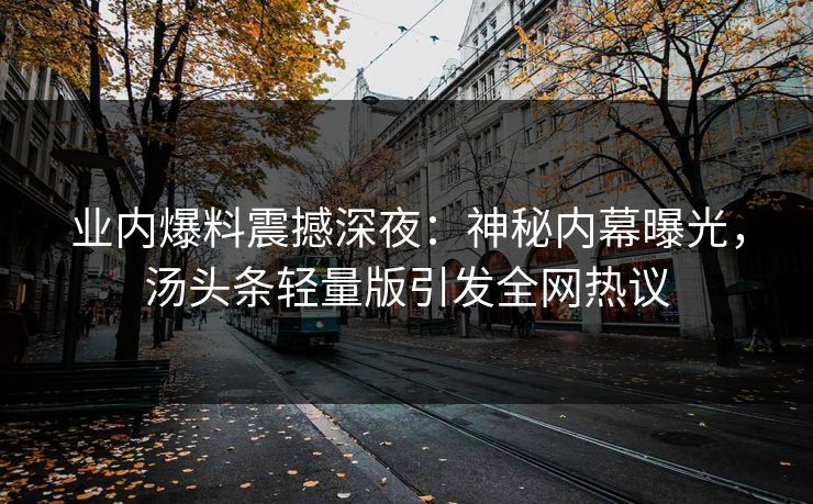 业内爆料震撼深夜：神秘内幕曝光，汤头条轻量版引发全网热议