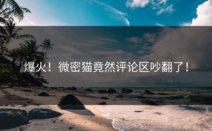 爆火！微密猫竟然评论区吵翻了！