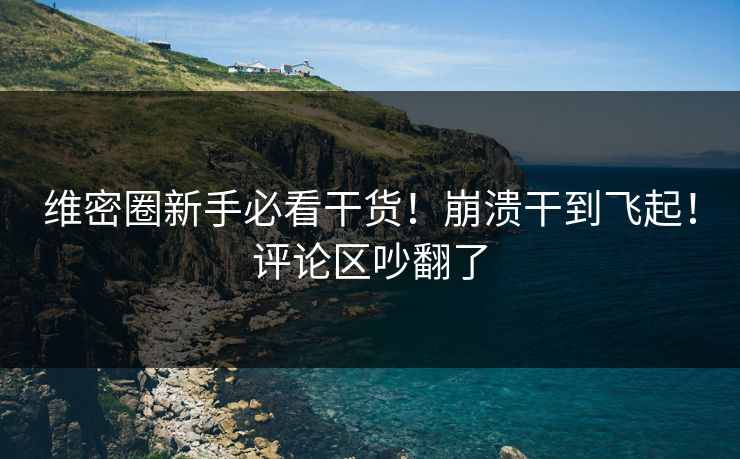 维密圈新手必看干货！崩溃干到飞起！评论区吵翻了