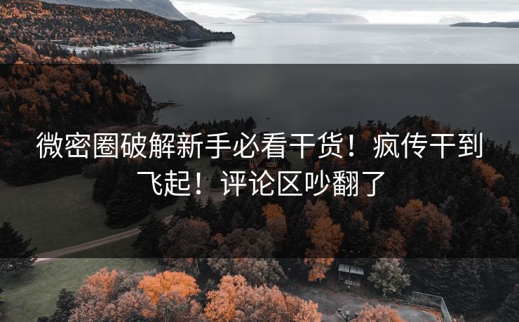 微密圈破解新手必看干货！疯传干到飞起！评论区吵翻了