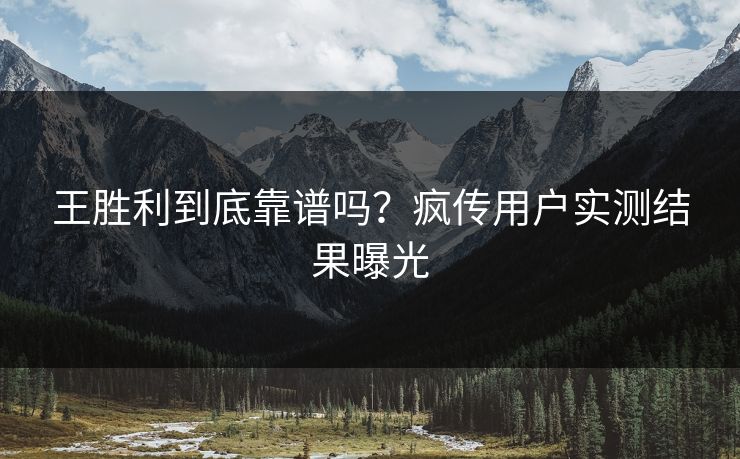 王胜利到底靠谱吗？疯传用户实测结果曝光
