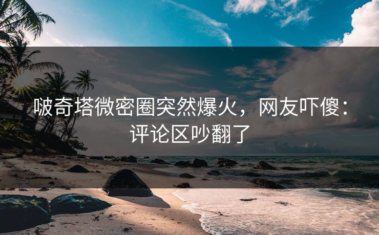 啵奇塔微密圈突然爆火，网友吓傻：评论区吵翻了