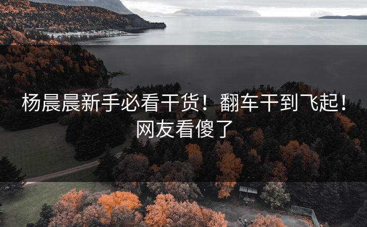 杨晨晨新手必看干货！翻车干到飞起！网友看傻了