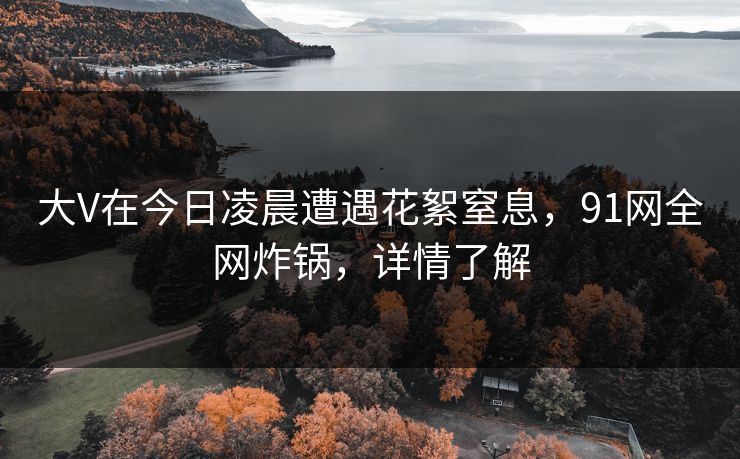 大V在今日凌晨遭遇花絮窒息，91网全网炸锅，详情了解