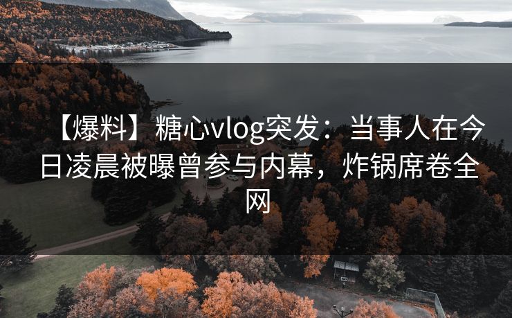【爆料】糖心vlog突发：当事人在今日凌晨被曝曾参与内幕，炸锅席卷全网