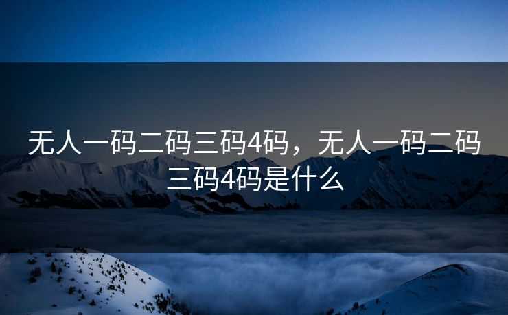 无人一码二码三码4码，无人一码二码三码4码是什么